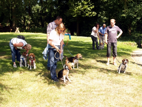 Beaglespaziergang Bentlage 057