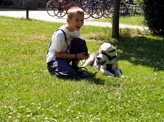 Beaglespaziergang Bentlage 098
