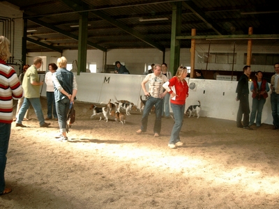 Beaglespaziergang Meppen 043