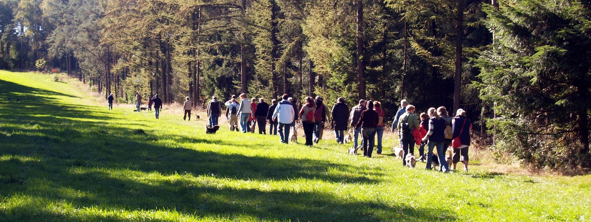 bild 053